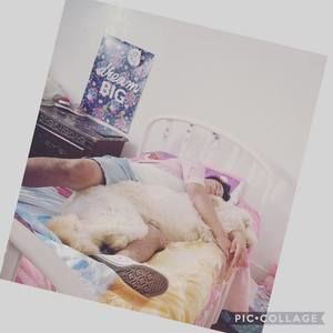 Meet your Posher, Pillco